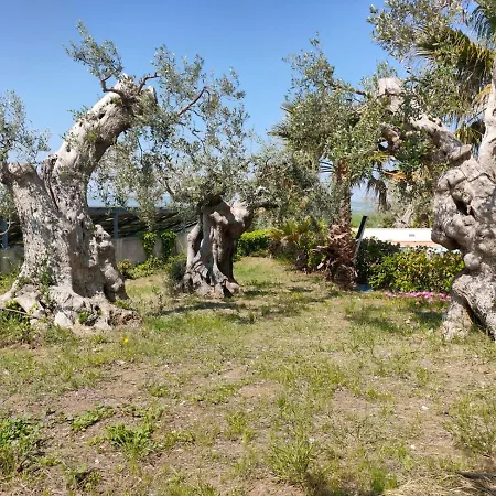 Lejlighedshotel Vittoria Matera