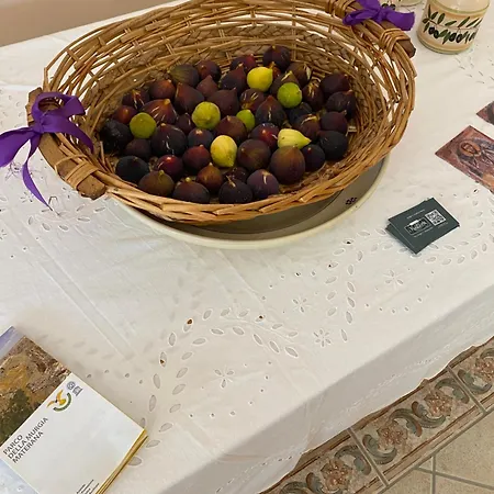 Vittoria Apart-hotel 4*