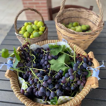 Apart-hotel Vittoria Matera