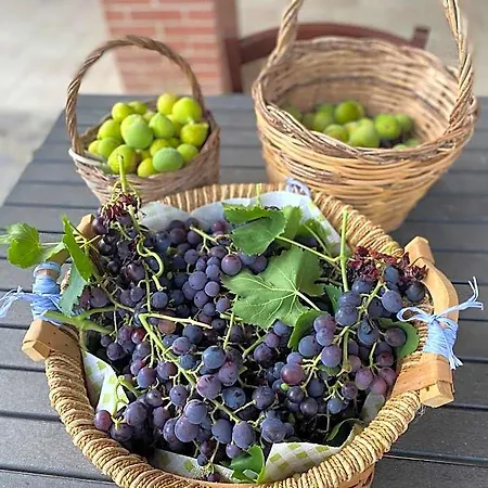 Vittoria