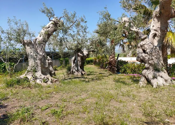 Apartahotel Vittoria Matera