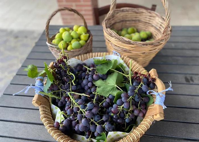 Aparthotel Vittoria Matera